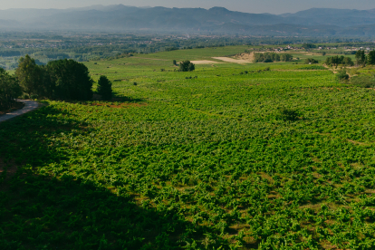 Vista de Villadecanes y Bierzo Bajo. FUNDACIÓN PRADA A TOPE