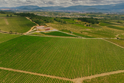 Vista del Bierzo desde las bodegas Ribas del Cúa en Cacabelos. FUNDACIÓN PRADA A TOPE