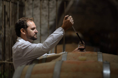 Alberto Martín, técnico de la Estación Enológica de Castilla y León, ubicada en Rueda, analiza la evolución de uno de los vinos. ITACYL