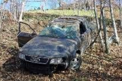 Unos castaños detuvieron la caída del Audi A-6 a unos quince metros de la carretera