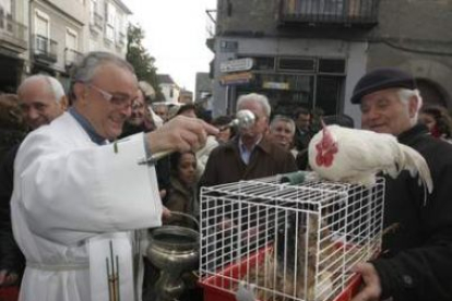 Una familia de gallinas al completo recibió la bendición del párroco de Cacabelos, Jesús Álvarez