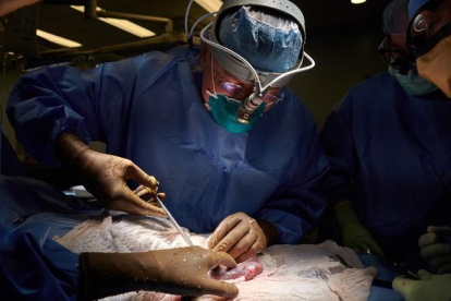 Trasplante en octubre de 2021 de un riñón de cerdo el hospital NYU Langone Health. DOMENICHO CHIAPPE