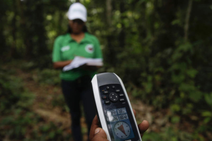 Recogida de muestras de los bosques en Tucamo (Colombia). ERNESTO GUZMAN JR