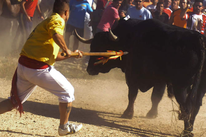 Momento en el que un mozo de Tordesillas (Valladolid) acaba con la vida del toro de una única lanzada.