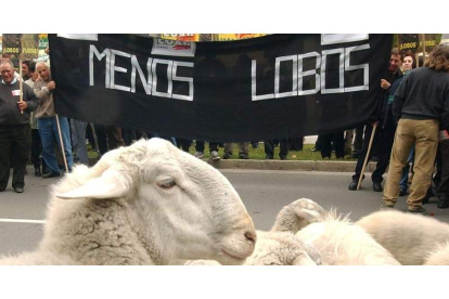 Imagen de una manifestación de Coag contra el lobo. NACHO GALLEGO
