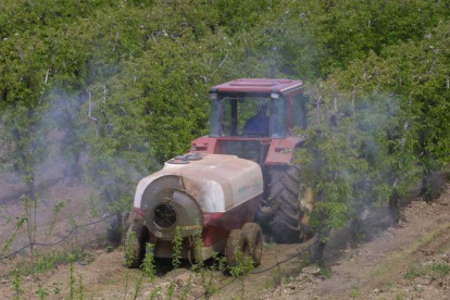 Imagen de un tractor fumigando una plantación de manzanas en el Bierzo. L. DE LA MATA
