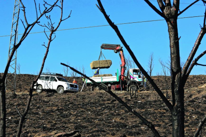 Los vecinos de los pueblos afectados por el incendio critican que el millón de ayudas se esté destinando a tirar paja por el monte y hacer albarradas.
