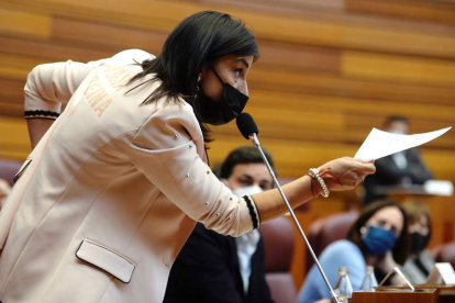 La procuradora del Grupo Parlamentario Socialista Ana Sánchez ayer, en el pleno. NACHO GALLEGO