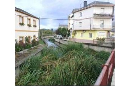 Una imagen selvática del arroyo de Los Barredos en Camponaraya