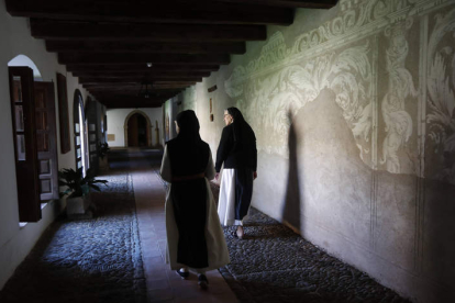 La ruta guiada del Oro Verde del Ayuntamiento de Carrizo de la Ribera se puede realizar sábados, domingos y festivos o, con un grupo suficiente, cualquier otro día siempre que se concierte previamente.  JESUS F. SALVADORES