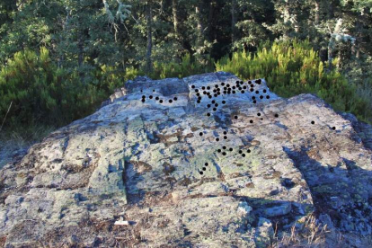 Detalle de una roca con gran cantidad de cazoletas (marcadas con puntos negros), localizada en Viforcos.