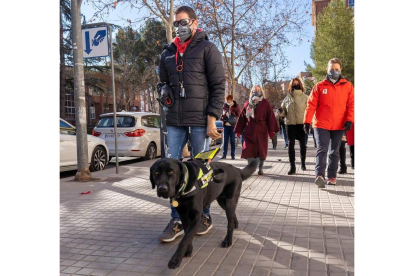 Xabat es el perro guía de la Once que da más autonomía a Alberto Villalba.  ANTONIO GARCÍA