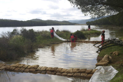 Núñez Feijóo, durante su comparecencia posterior al Consello semanal.