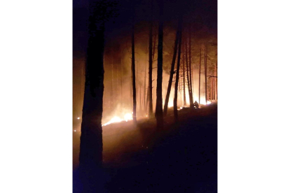 Incendio en San Bartolomé de Rueda. ICAL