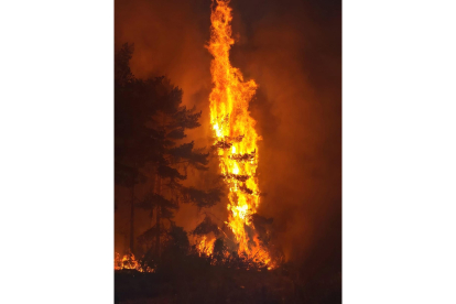 Incendio en San Bartolomé de Rueda. ICAL