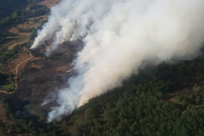 Fotografía aérea del incendio de San Bartolomé de Rueda. JCyL