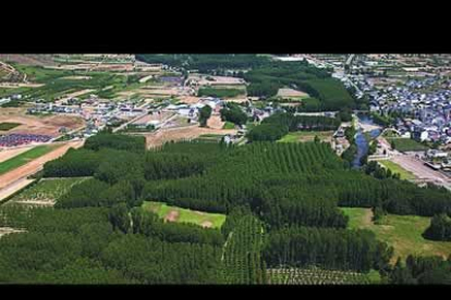 Cacabelos, hito en el Camino de Santiago, se alarga paralelo al curso bajo  del Cúa, río que ha excavado en los sedimentos arcillosos un valle de amplio y verde horizonte