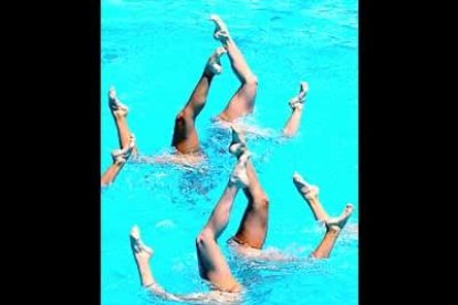 Con la cabeza sobre o bajo el agua, las piruetas no faltaron.