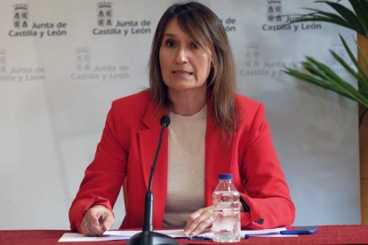 Rocío Lucas, consejera de Educación de CyL. NACHO GALLEGO