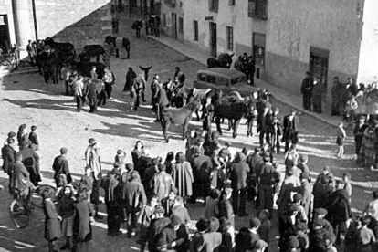 Concurso de burros en la plaza Mayor en la Feria de 1942.