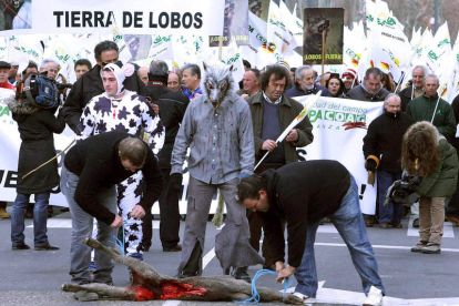 Una ternera comida por los cánidos encabezó la protesta en Valladolid.
