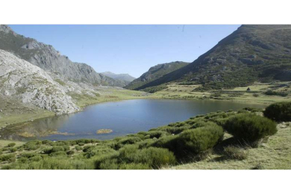 El lago es una zona pirenaica perteciente a las juntas vecinales de Isoba y Puebla de Lillo reservada para el pasto del ganado . DL