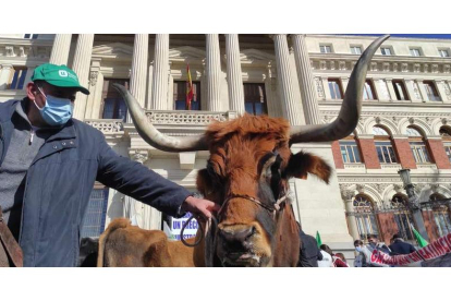 Unos 700 ganaderos de toda España se concentraron ayer frente al Ministerio de Agricultura en Madrid. JUAN JAVIER RÍOS