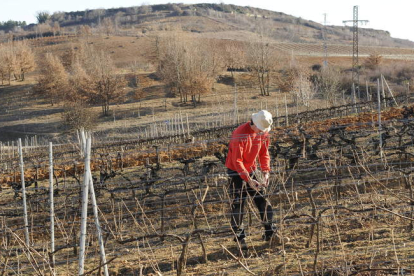 Jorge Vega poda una de las tres viñas que tiene en Pieros y que provocan en él un enorme sentimiento por el valor del legado recibido de quienes las plantaron y las cuidaron durante tantos años.
