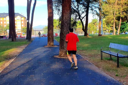 Un usuario del parque del Temple hace deporte en la senda de los árboles asfaltados. DL