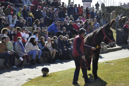 La Feria de Febrero de Valencia de Don Juan volvió a sus orígenes con la celebración del III Concurso-exhibición de burros zamorano-leoneses en un abarrotado auditorio del Castillo. A.V.D.J.