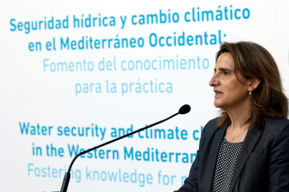 La vicepresidenta y ministra para la Transición Ecológica, Teresa Ribera. EFE