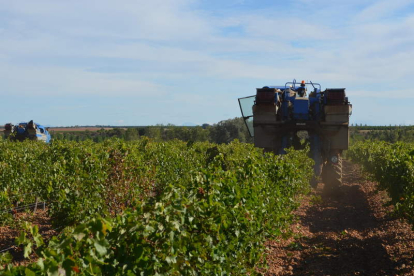 El sector vitivinícola es uno de los que más exporta.