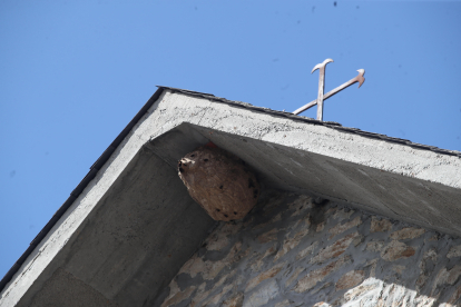 El nido ha aparecido en el campanario de la iglesia de San Juan Bautista de Horta en Corullón. L. DE LA MATA