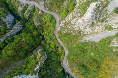 LA CULEBRA DE PICOS DE EUROPA. La carretera abre una hermosa herida en este espacio natural protegido, refugio de animales y vegetación. Foto: VISUAIR