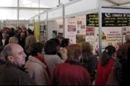 La subasta y concurso nacional de raza parda es una de las ferias más importantes de Cistierna y que