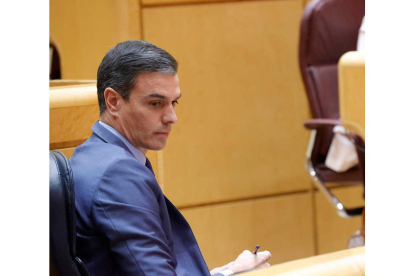 Pedro Sánchez en su última comparecencia en el Senado para una sesión de control al Gobierno. ZIPI