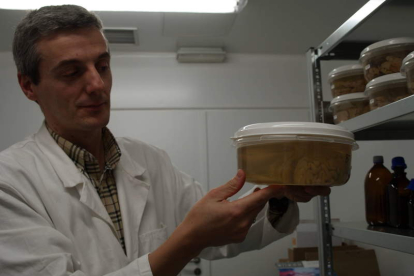 Javier Herrero Turrión posa con uno de los cerebros que se conservan para la investigación en el biobanco del Instituto de Neurociencias de Castilla y León. DL