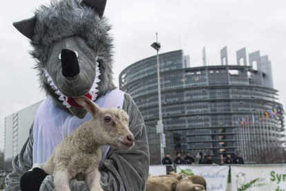 Protesta ante las instituciones europeas por concesiones pasadas a la desprotección de los ganaderos frente al lobo. efe