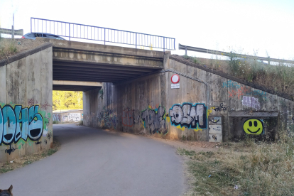 El puente de al lado de la candamia lleno de grafitis. DL