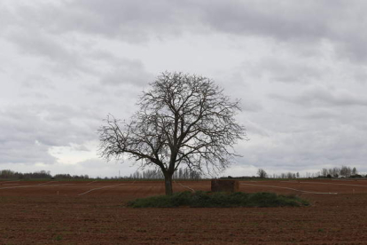 Terrenos transformados en regadío en el sur de León. JESÚS F. SALVADORES