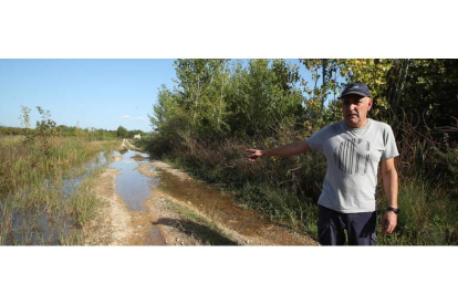 Humberto Merayo, secretario del Canal Bajo del Bierzo en un camino con pérdida de agua. . de la mata