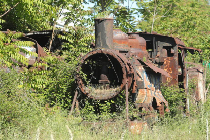 La maleza cubre los restos oxidados de las últimas locomotoras de la MSP sin restaurar. L. DE LA MATA