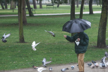 Imagen de archivo de un hombre que da de comer a las palomas en el Plantío. L. DE LA MATA
