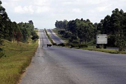 El parecido entre una de las escasas autopistas cubanas y otra de cualquier país europeo es pura coincidencia. Animales, bicicletas, turismos y peatones pueden compartir el vial. Los conductores recién llegados suelen recibir enseguida un buen consejo: no conducir nunca por la noche. El alumbrado público es un lujo.