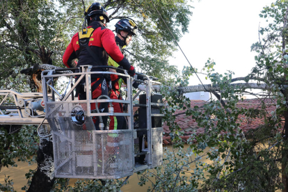 En Palencia, los bomberos retiran ramas de un árbol abatido por el fuerte viento. BRÁGIMA / ICAL