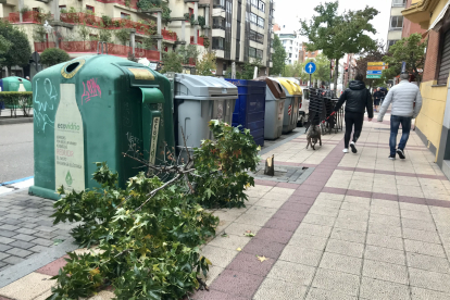 Restos de árboles y ramas en las aceras por las fuertes rachas de viento en Valladolid. MIRIAM CHACÓN / ICAL.