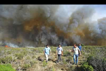 Los fallecidos pertenecían a un retén con base en la localidad de Cogolludo. Se vieron atrapados por las llamas al intentar extinguir un foco que se había avivado por el fuerte viento.