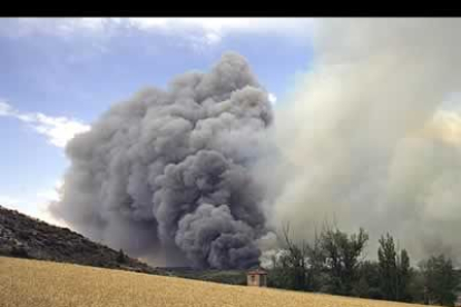 El fuego se originó cuando un grupo de excursionistas preparaba una barbacoa en el paraje de Cueva de los Casares.