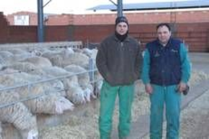 Dionisio González y su hijo ante la explotación familiar cooperativa de mil ovejas Assaf en Algadefe