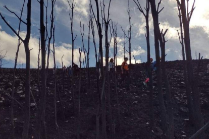 Los Grandes Incendios Forestales (GIF) son aquellos que superan las 500 hectáreas. DL